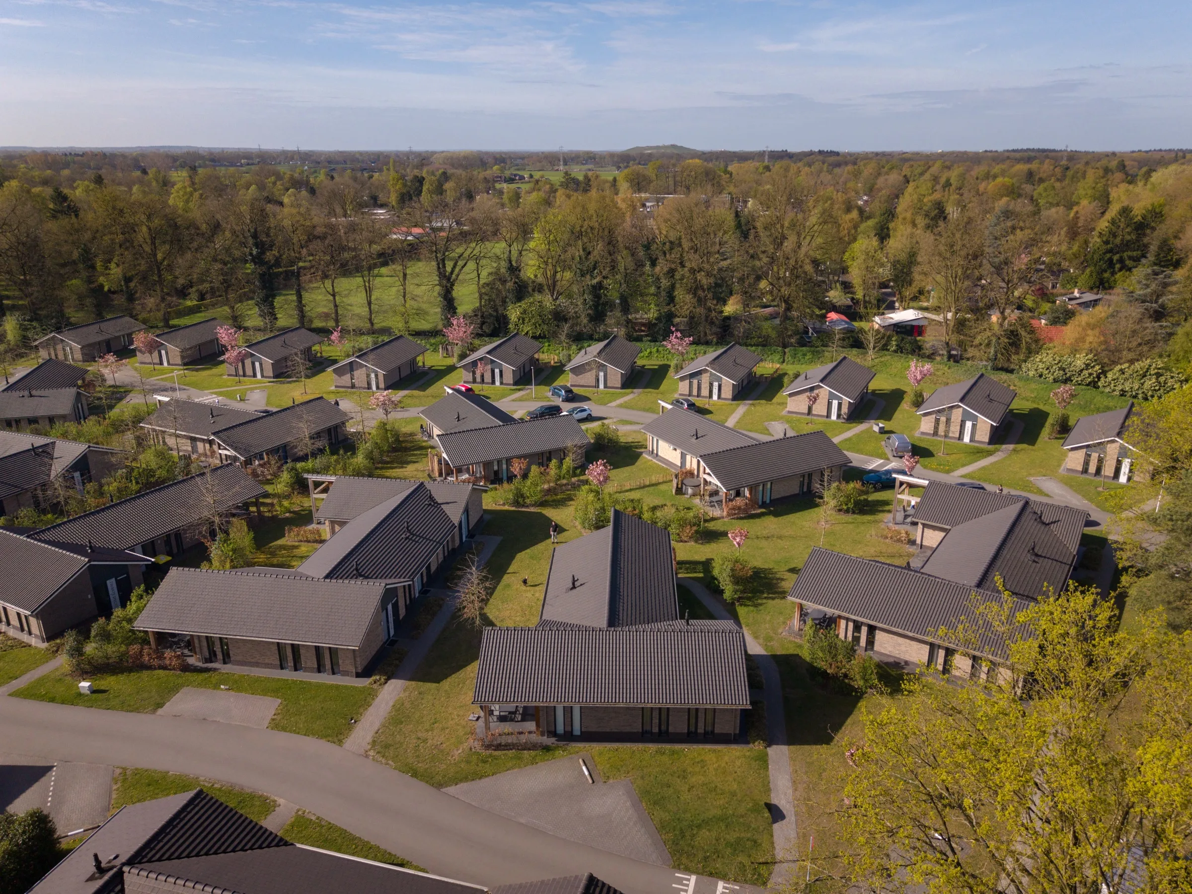 Luchtfoto van de vakantiewoningen van De IJsvogel tussen bloeiende bomen in het voorjaar